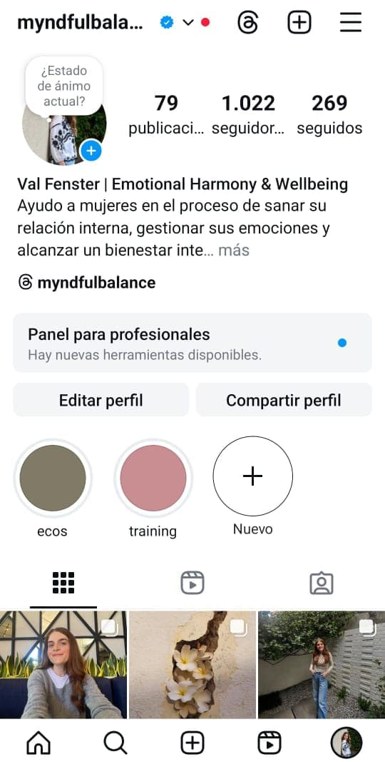 Perfil de Instagram